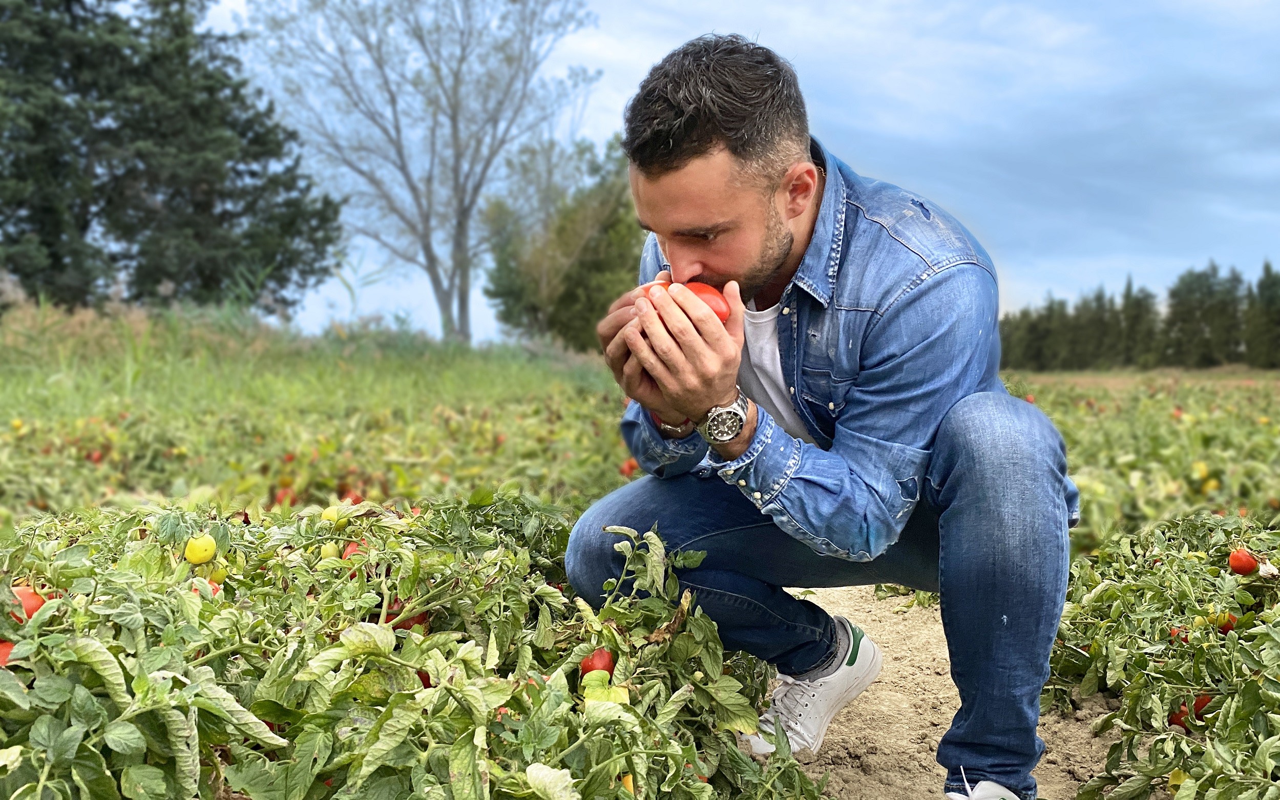 Florent Mercier dans le champ de tomates