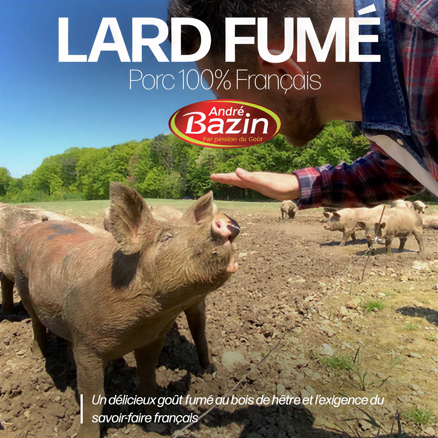 lard fumé